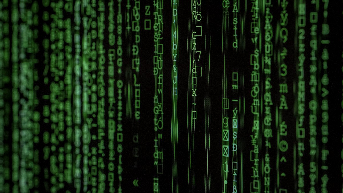 Domain name registration and web hosting configuration workflow on digital screen